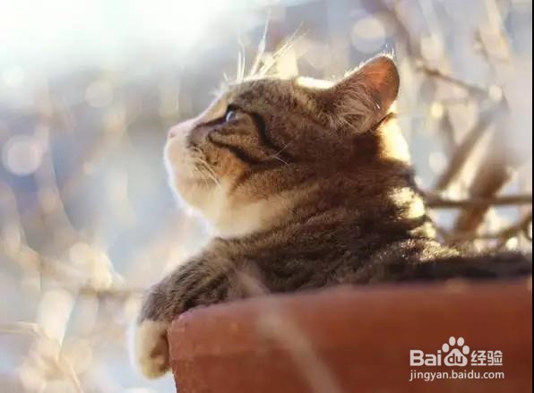 摆脱负面情绪大法