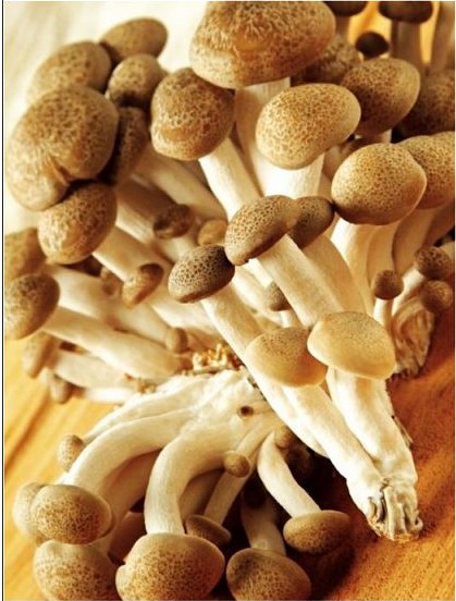 冬季女人喝啥汤冬天养生美容