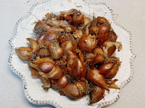 油渣小白菜+猪油拌饭（童年的回忆)