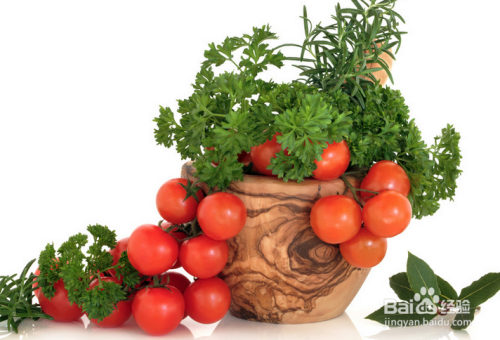 详解冬天有机西红柿的种植方法