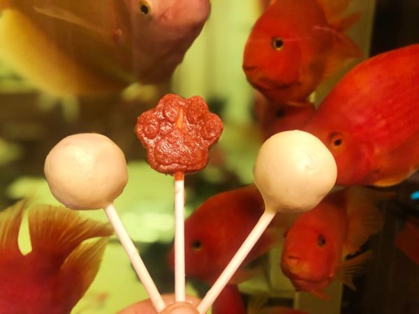 酸奶山楂开胃棒