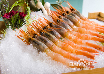 北极虾的头为什么是黑色的?