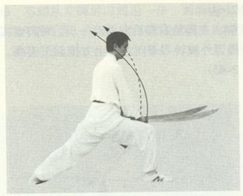 赵堡太极双刀之双刀屠龙图解