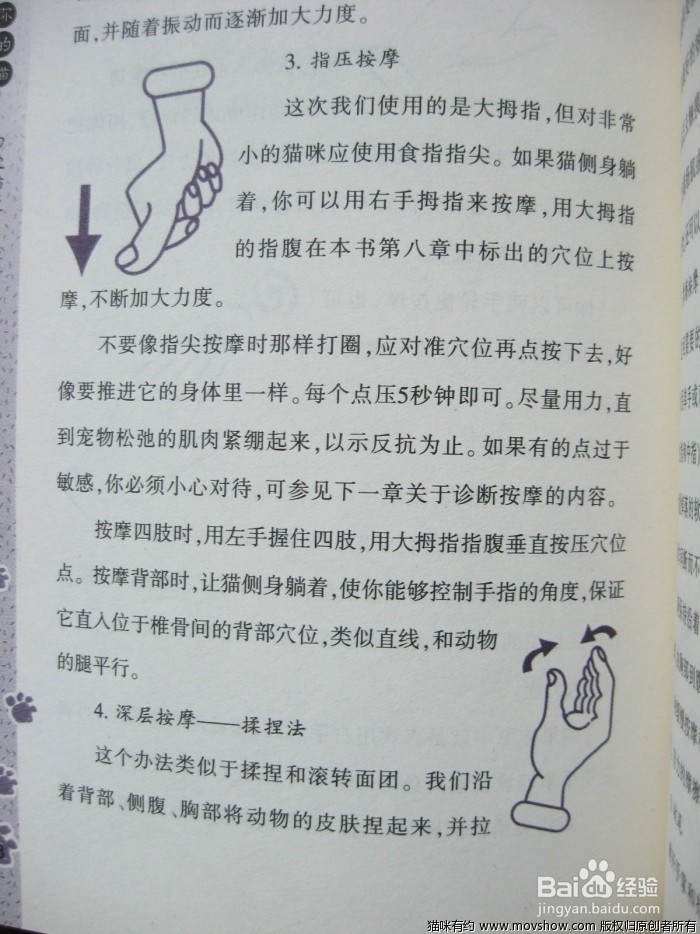 猫发烧了怎么办