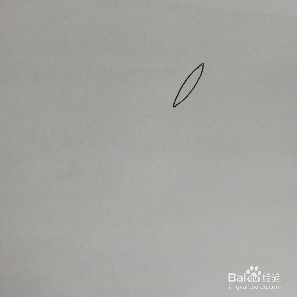 绿色盆栽简笔画怎么画
