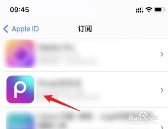 苹果手机怎么停止自动续费项目
