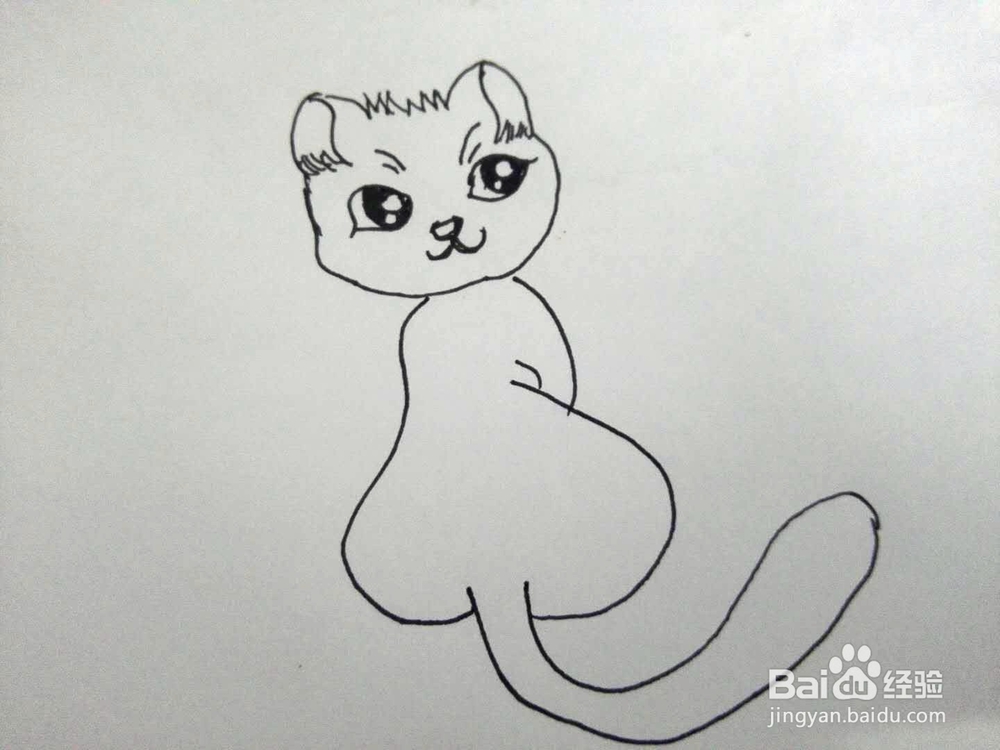 大眼睛猫咪的简笔画分享