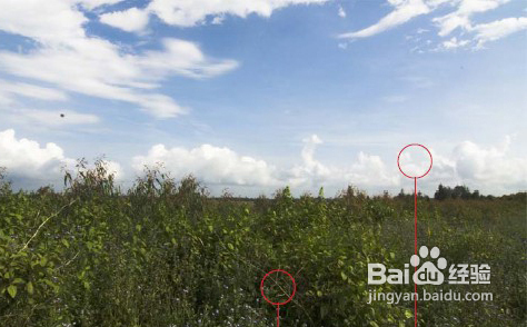 摄影构图的十大禁忌