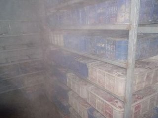 猪肉无害化处理怎么做案卷?