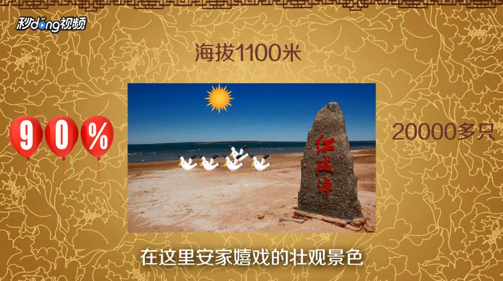 红碱淖自驾游攻略