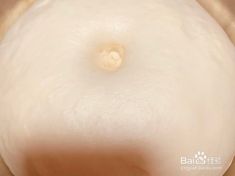 猫猫布里欧修吐司的做法