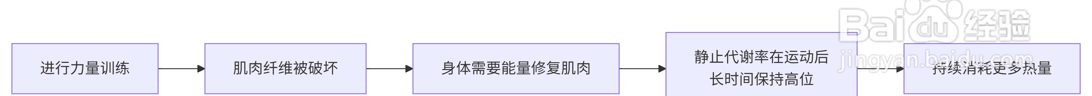 如何通过运动有效减肥