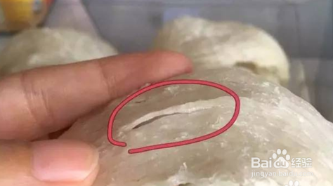 燕窝真假有什么区别，怎么鉴别？