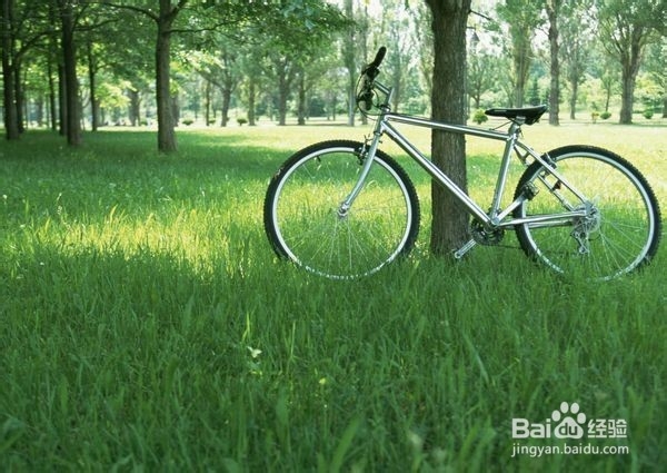 大学生怎样度过充实祥和的期末复习阶段