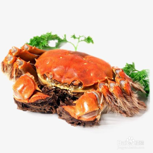 为什么大闸蟹的黄是稀的