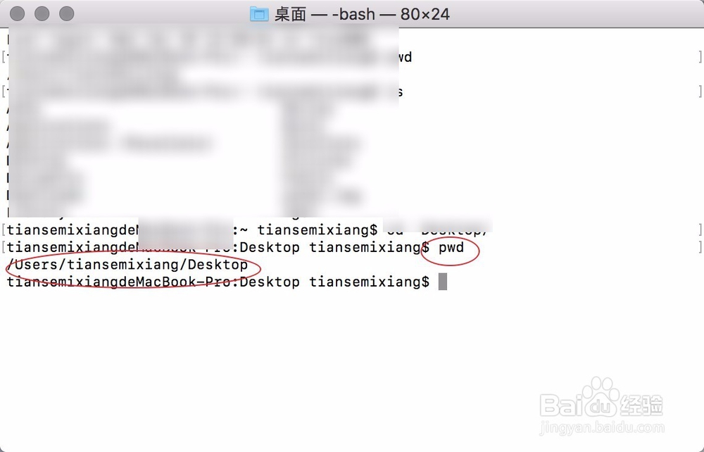 MacBook Pro怎么把下载的应用软件移到桌面