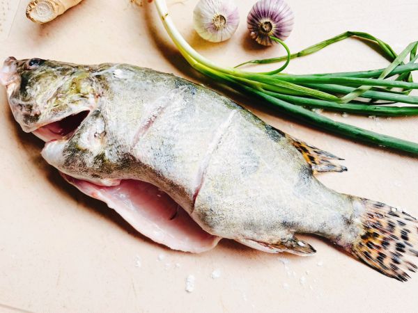 金龙鱼做沙司蒜片桂鱼