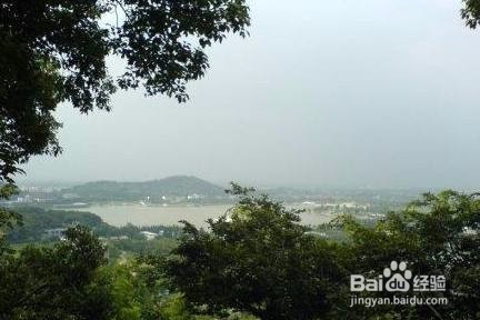 佘山森林百鸟苑旅游攻略