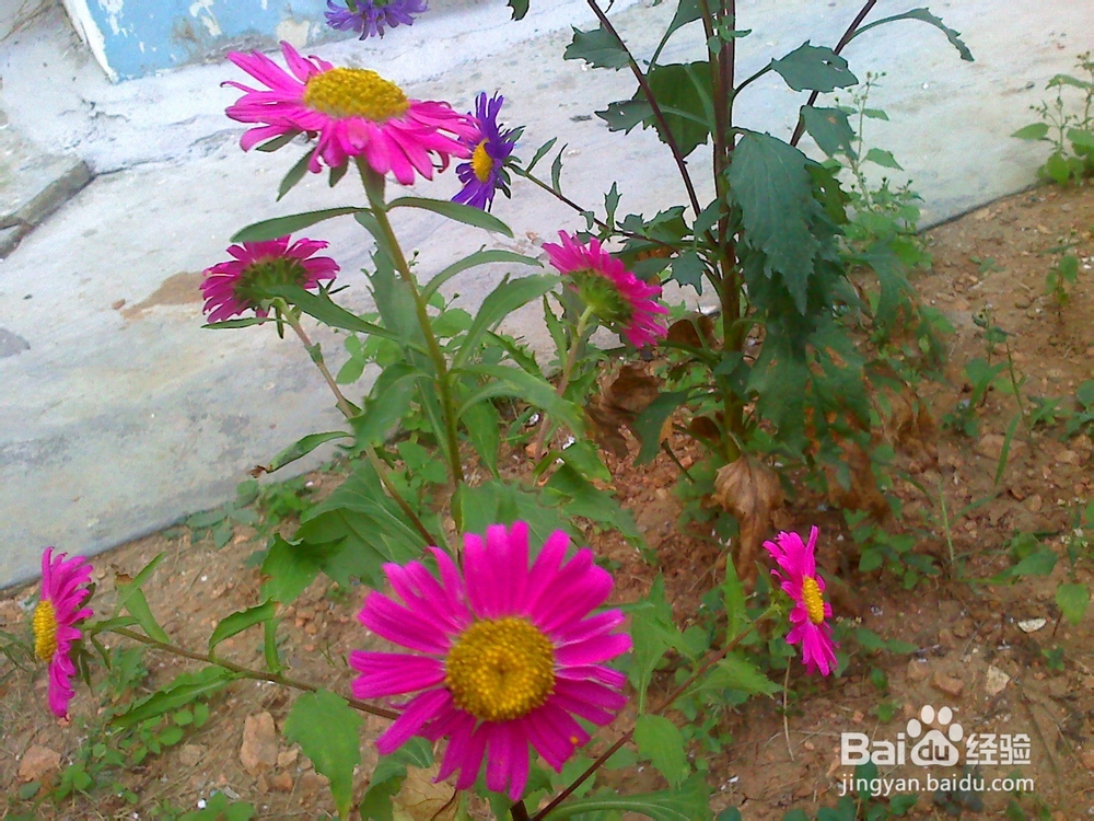 孩子怎样来控制自己珍惜时间