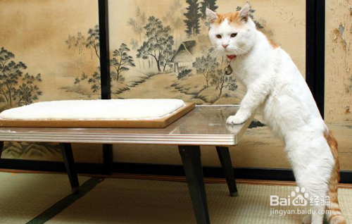 怎样做生活中的主人