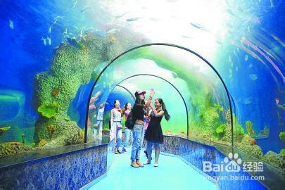 大明湖海底世界旅游攻略