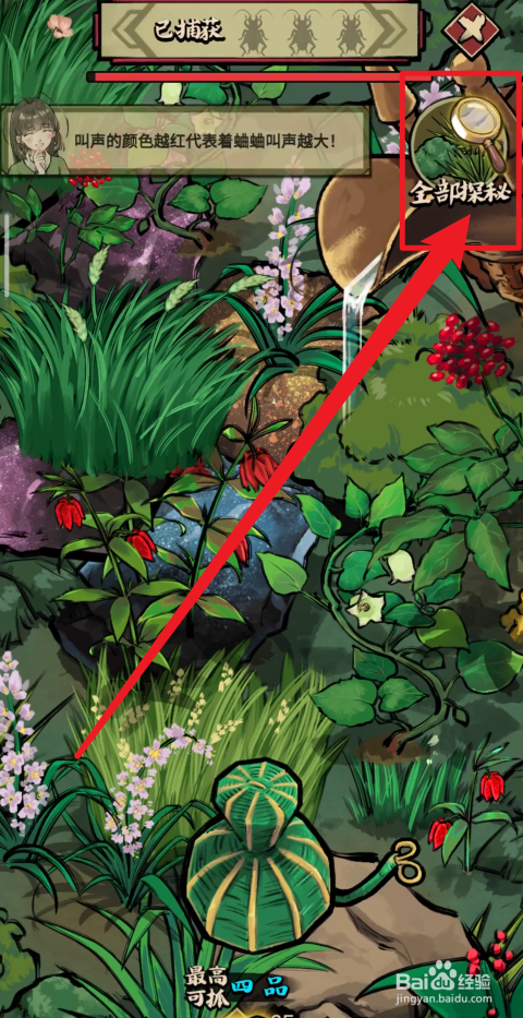 蛐蛐也疯狂织网恢恢奇缘不漏怎么使用