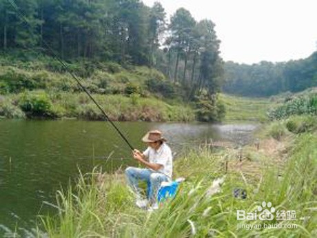立春后野河如何钓鲤鱼