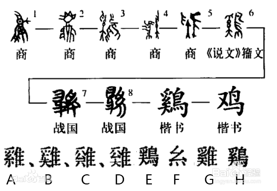 鸡的拼音怎么拼读