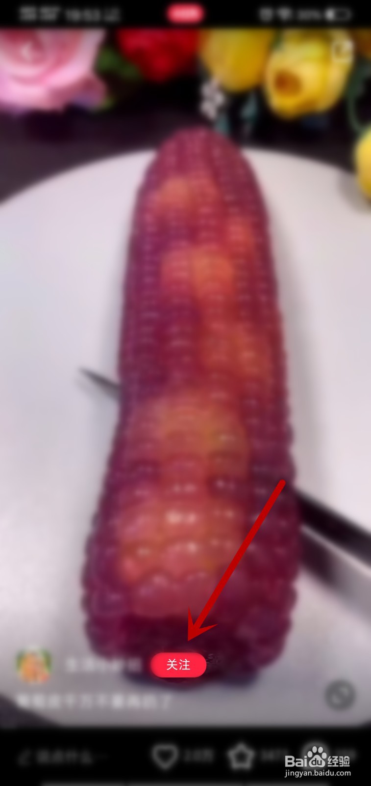 小红书怎么关注喜欢的视频作者