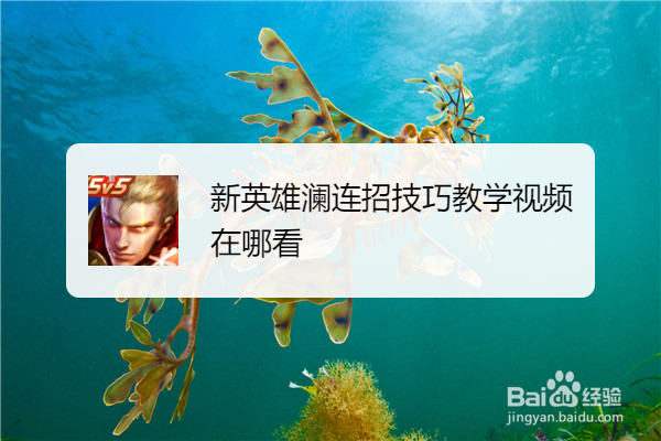 新英雄澜连招技巧教学视频在哪看
