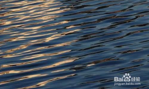 如何利用ps制作湖面涟漪效果 百度经验