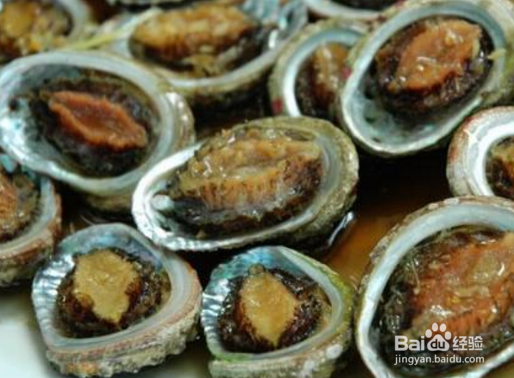 夏季适合吃的海鲜有哪些