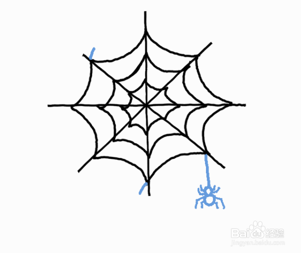 幼儿园绘画蜘蛛网图片