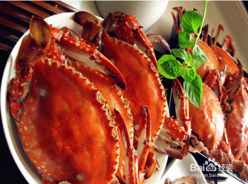 日照美食总攻略，别宠坏了你的舌头