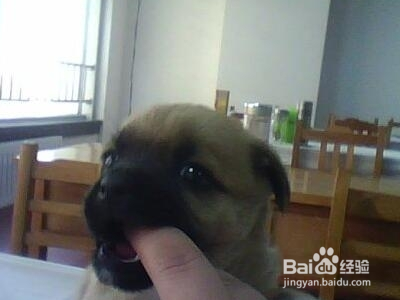 恐怖的意外得病——读后总结预防经验