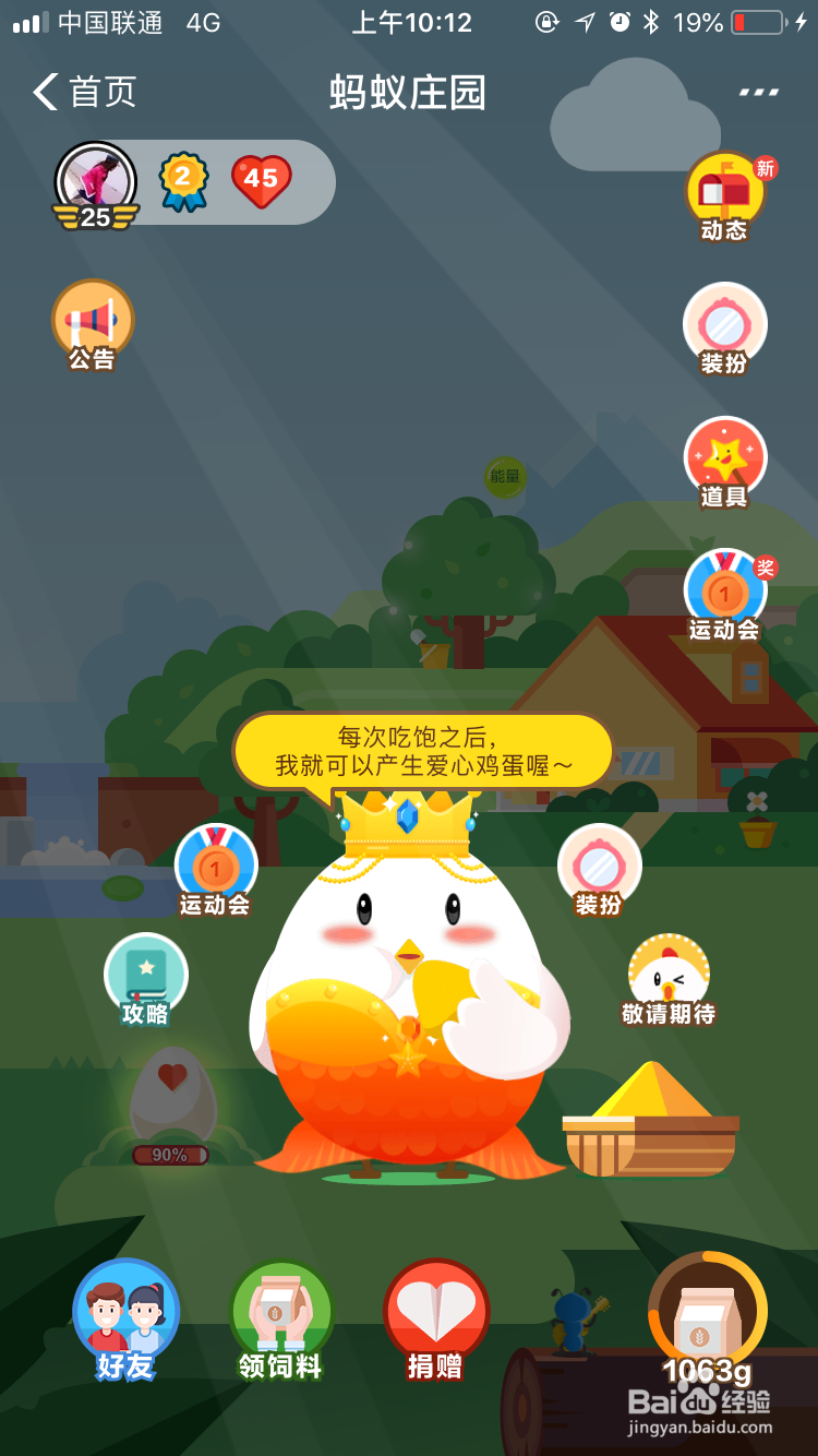支付宝里蚂蚁庄园里怎么养小鸡