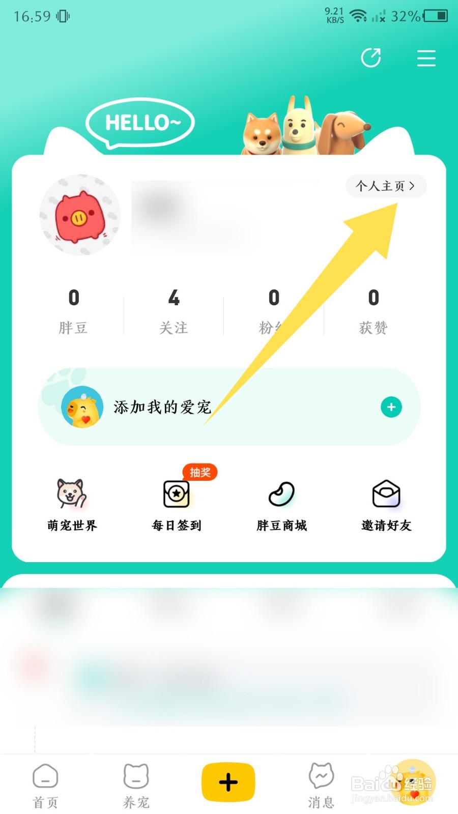 宠胖胖app如何修改昵称