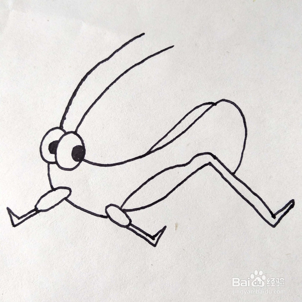 如何画一只有趣的蚱蜢/蝈蝈卡通简笔画