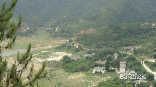 万绿湖锡场旅游攻略