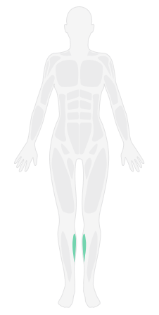 泡沫轴右侧小腿后侧放松_泡沫轴全身按摩