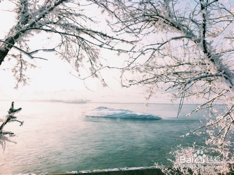手机摄影技巧：[6]雾凇拍摄小贴士