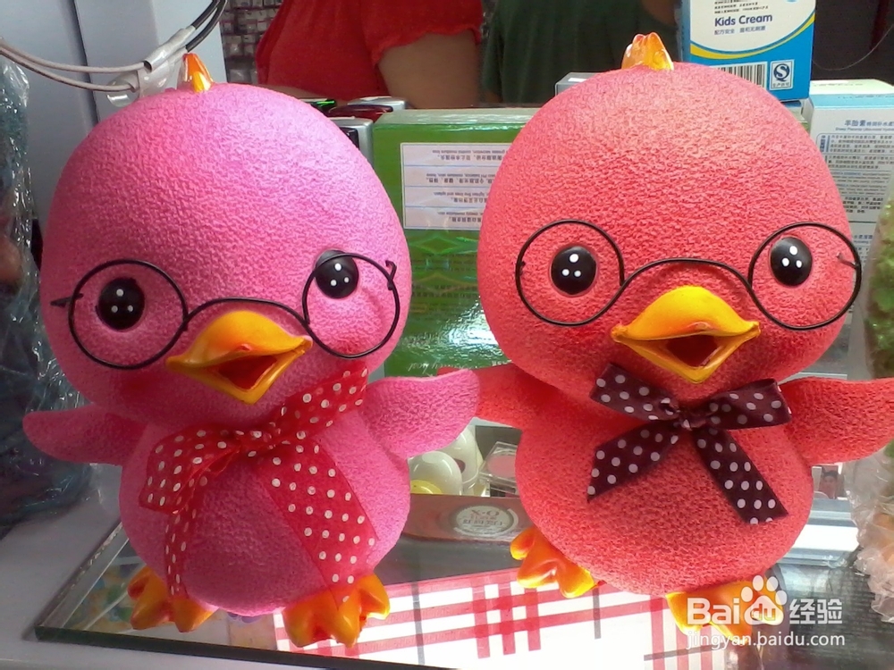 如何挑选泰迪幼犬