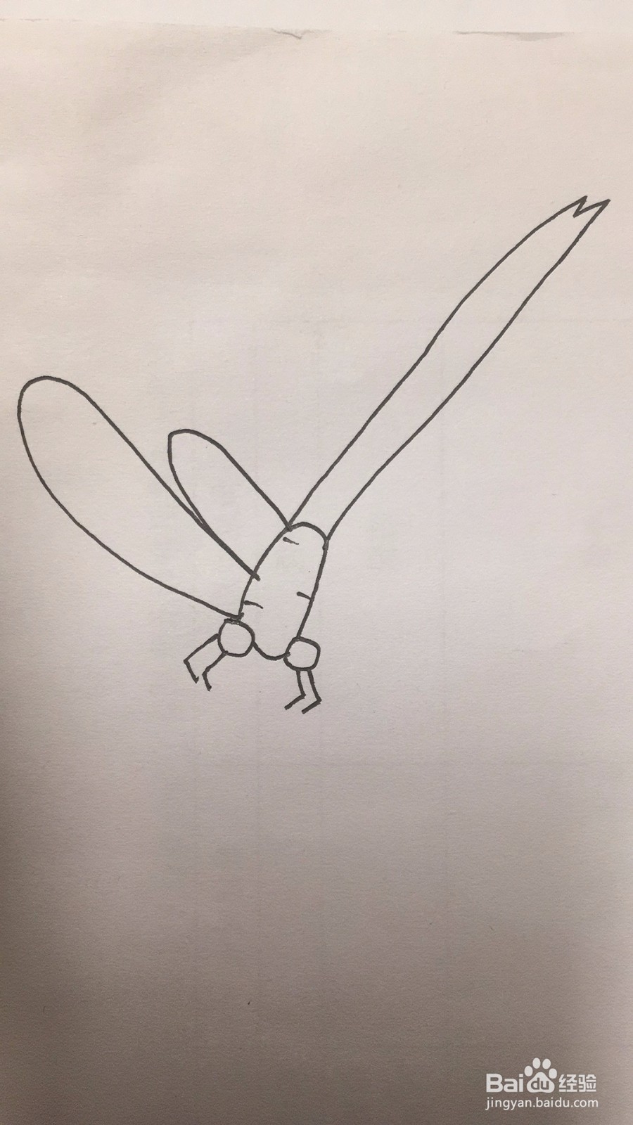 怎么快速地画一只可爱的小蜻蜓