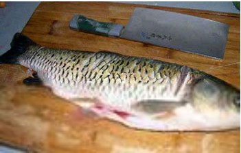 黄焖鲜鱼的制作方法