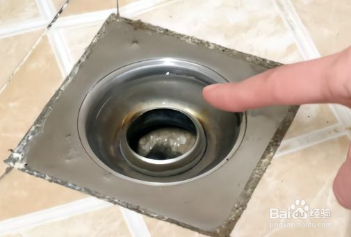 教你几个妙招清除卫生间小飞虫