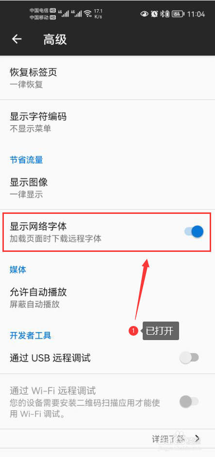 蚂蚁浏览器怎么打开显示网络字体功能