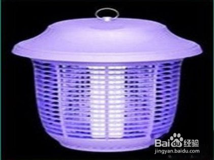 怎样驱除卫生间的小飞虫？