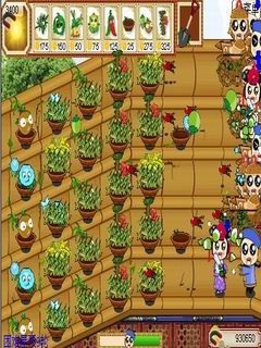 植物大战僵尸攻略