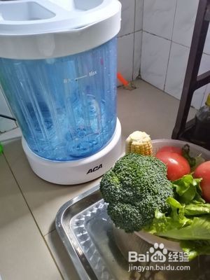 洗菜机十大排名