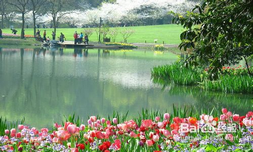 2012十一旅游好去处百度经验